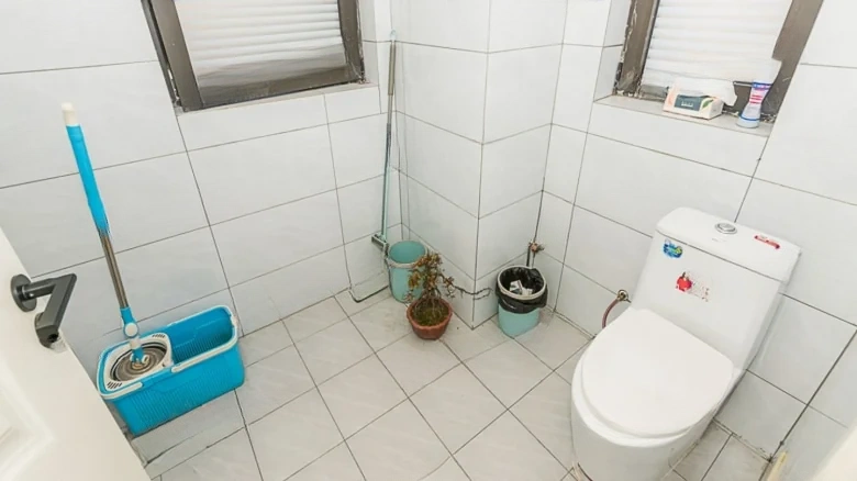 Poly Real Roland Sea Phase - View 15