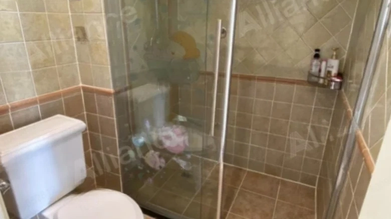 China Ocean Purple Imperial Mansion Court - View 8