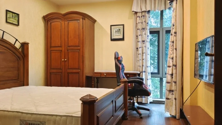 Lushan International Laperville - View 5