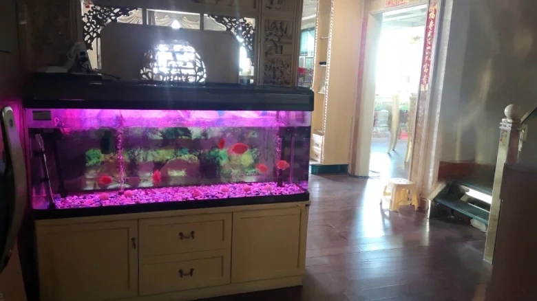 Mingfa Seaview Garden - View 10