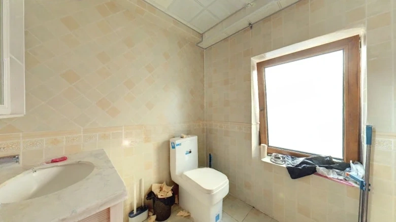 Lishan International - View 9