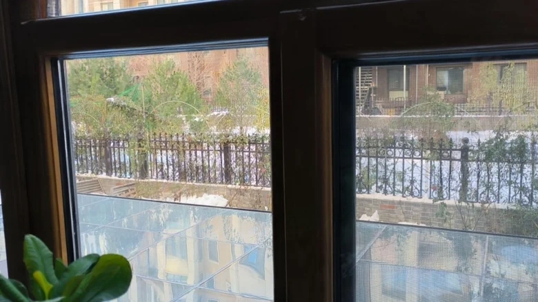 Buckingham Palace - View 17