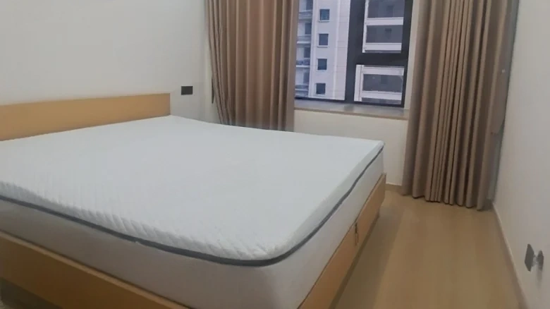 Dingwang Homeyard - View 2