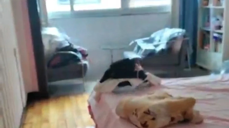 Yanhu Residential Area Phase One Cluster - View 2