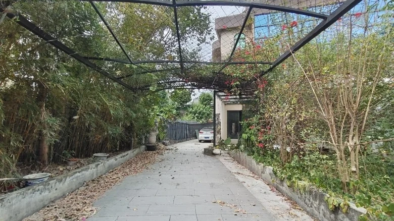 Fenghuang City (No. 17 Kangqiang Second Transverse Road) - View 32