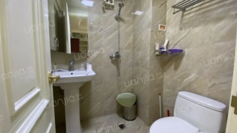 Silver Rich Garden - View 9