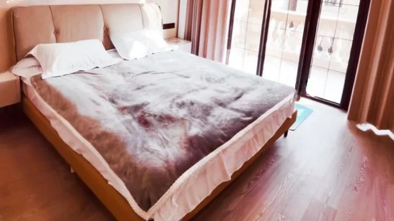 Anji Tsinghua Garden - View 7