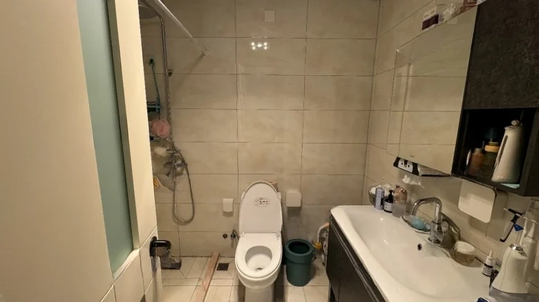 Shoukai Ivy Phase IV - View 9