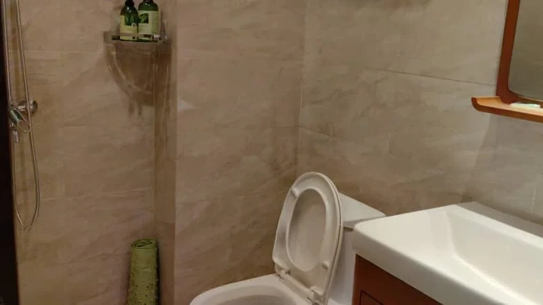 Haitang Taiyue Mansion - View 19