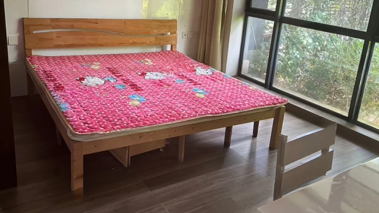 Pearl River Lihao - View 3