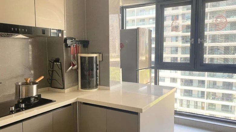 Jinguanyasha Village - View 5