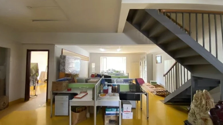 Silver Rich Garden - View 14