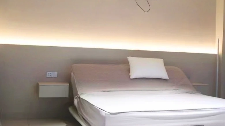 Peace Garden - View 7