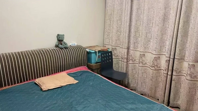 Luxin Hann Zhang Garden - View 2