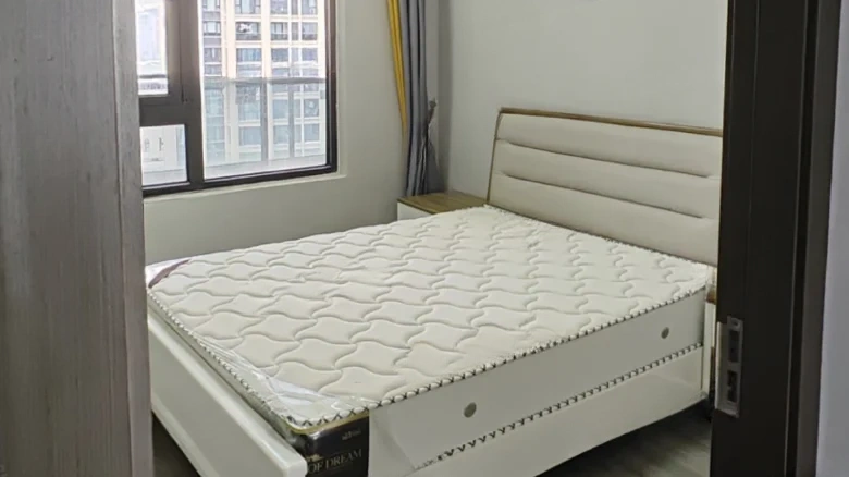 Binhai No. 1 - View 4