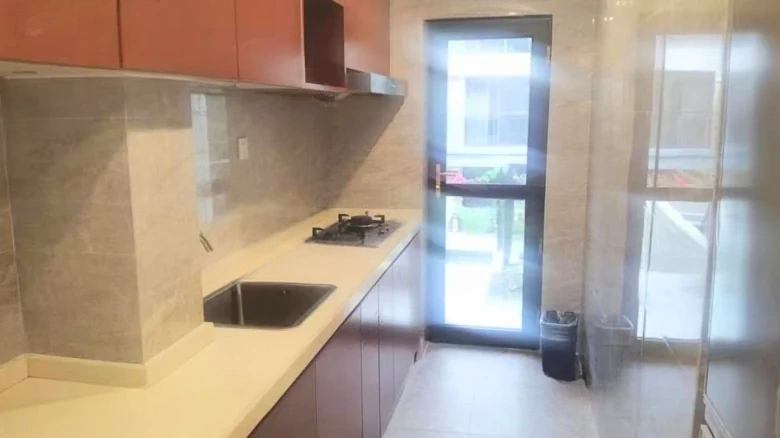 Liantou · Hibiscus Rhythm - View 8