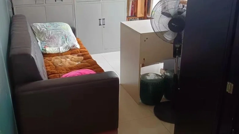 Rui Jia Gong Yuan Dao - View 2