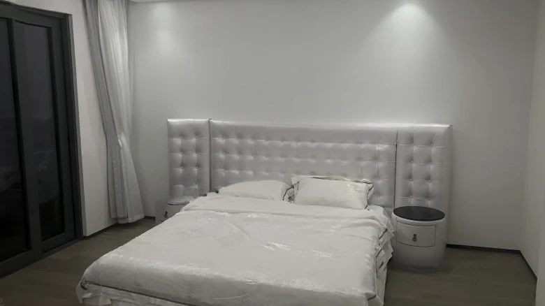 Artistic Hibiscus - View 2