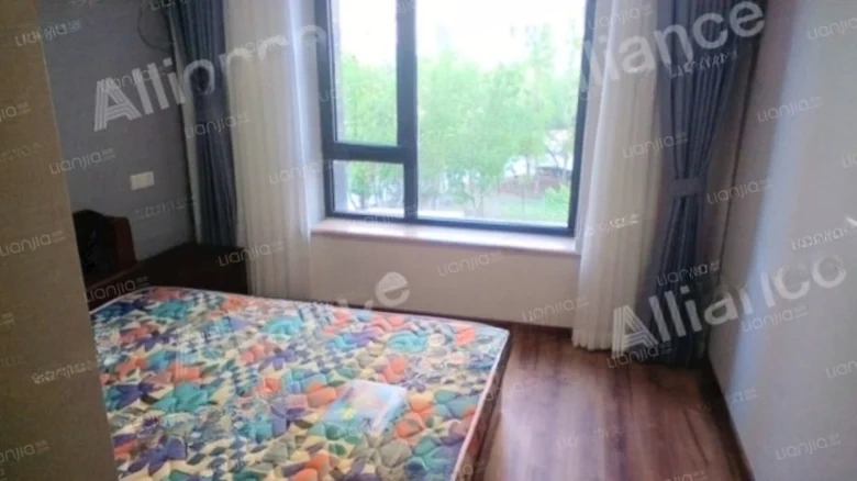 Shimao New Wulihe - View 2