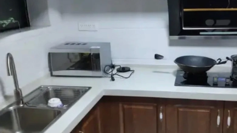 Cinnamon Camphor 16 Bazaar - View 13