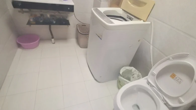 Century Peninsula Olive Valley - View 10