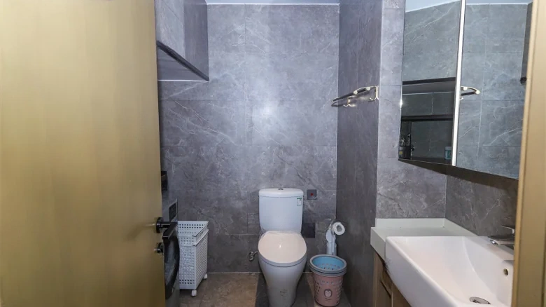 Vanke Lakeview Resort Park Phase II - View 18