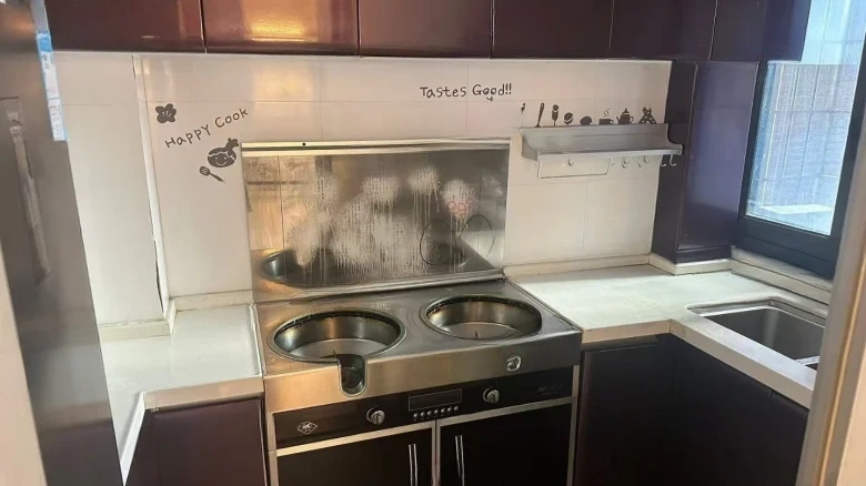 Palace Grace Vista - View 4