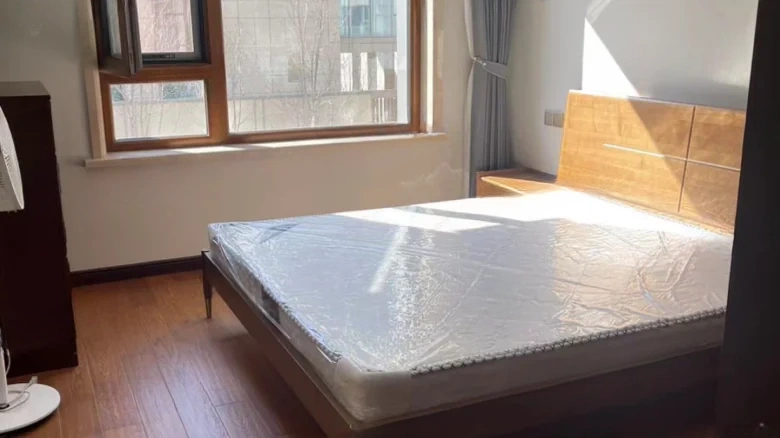 One Lake International - View 2