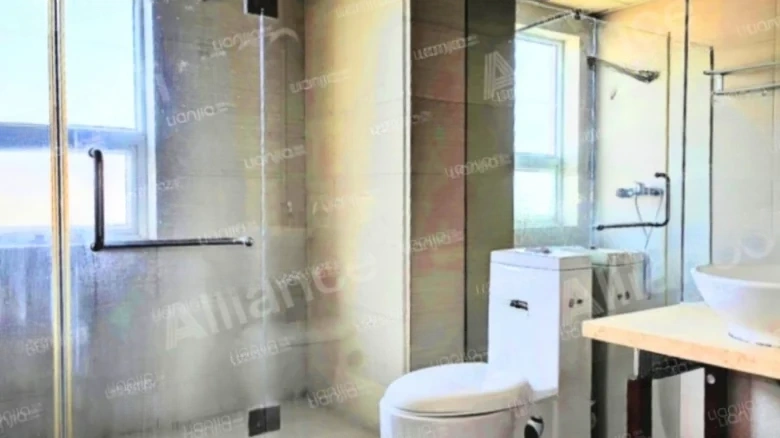 Phoenix Island - View 4