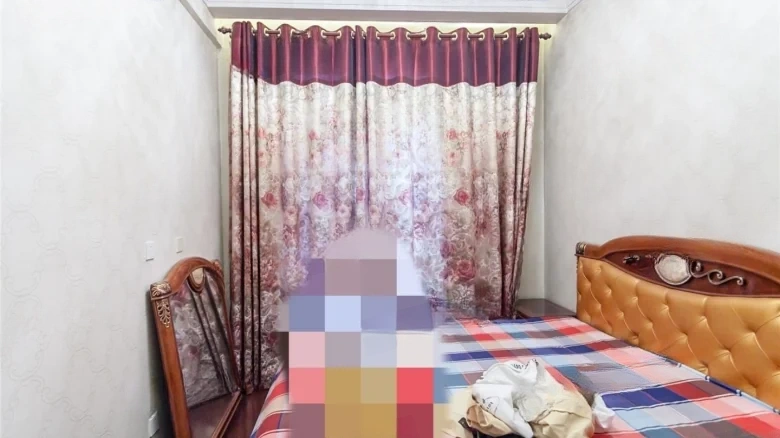 Prosperity Double Happiness City - View 2