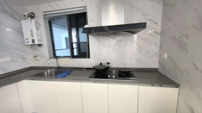 Artistic Hibiscus - View 5