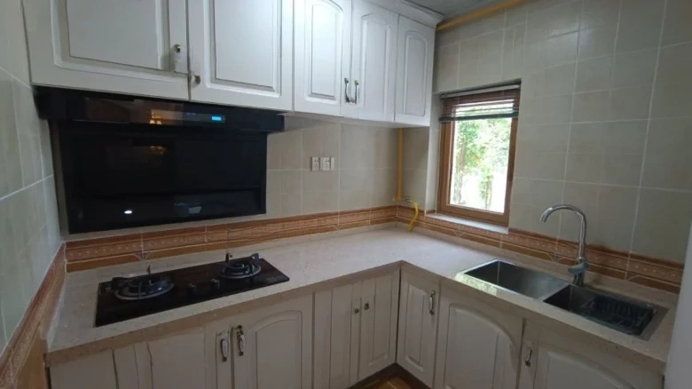 Lushan International Santa Barbara - View 8