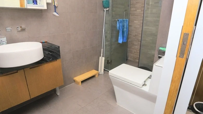 Pearl River Lihao - View 6