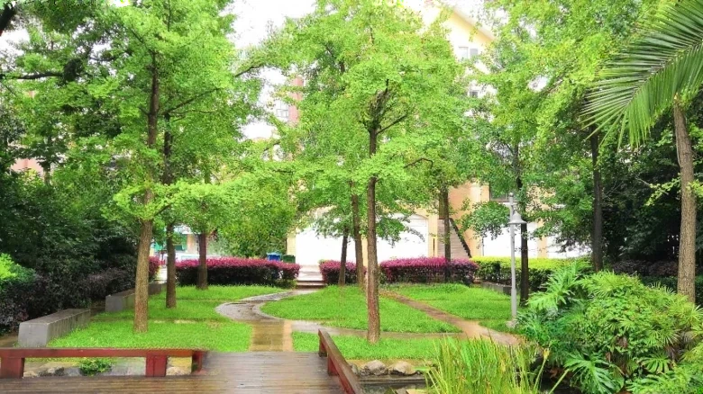 Yiqing Garden - View 21