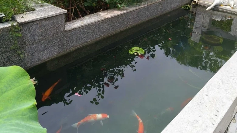 Lake Dragon Tianchen Original Residence - View 16