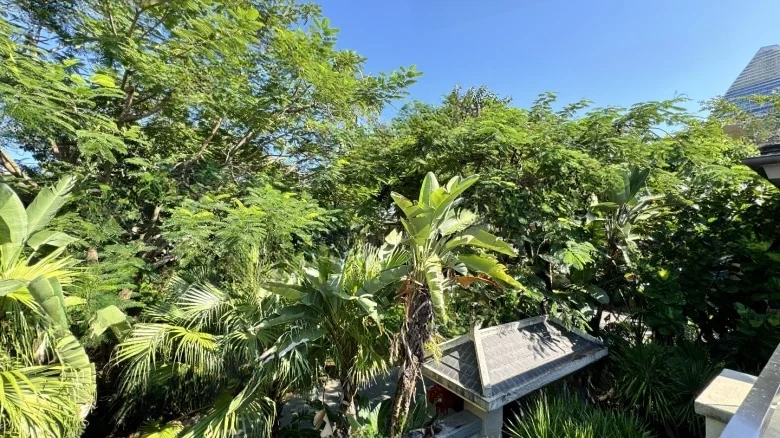 Rende恒海棠湾 - View 21