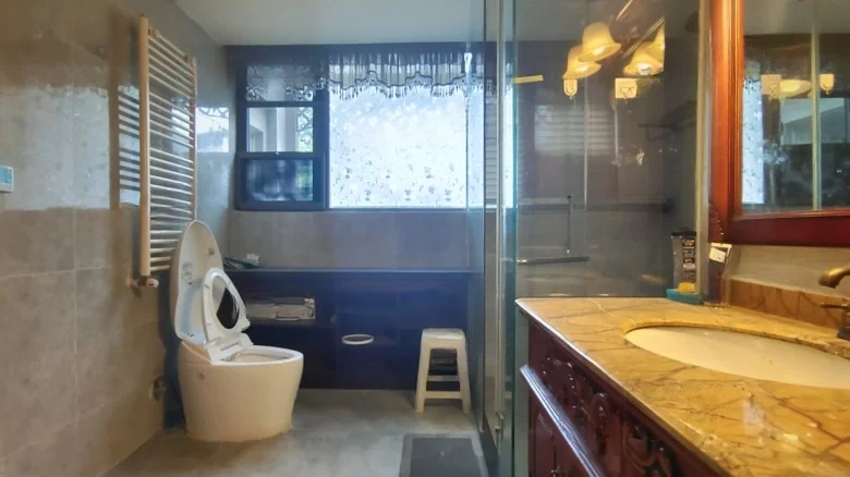 Lushan International Laperville - View 12