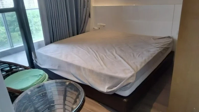 Pearl River Lihao - View 2