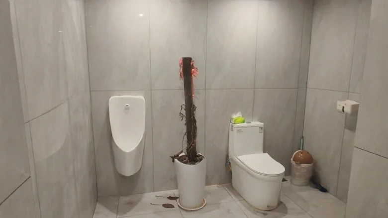 Jinhē Mansion - View 7