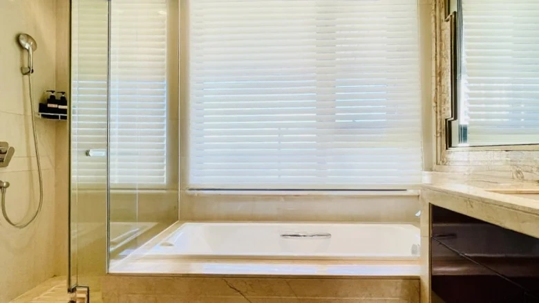 Half Mountain Peninsula - View 6