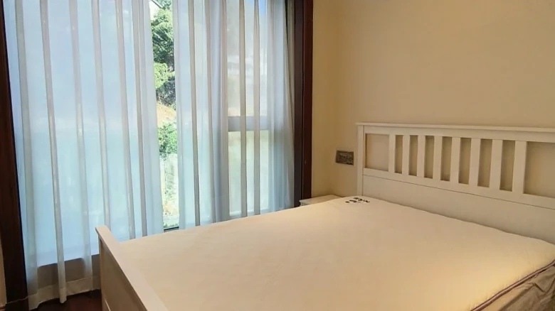 Dongyuan 1891 Impression Yangtze River - View 2