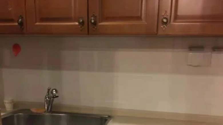 Vanke Bertram Garden - View 6