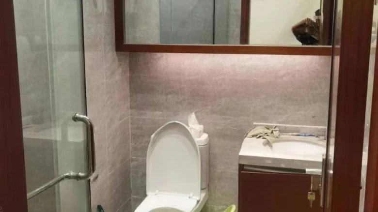 Liantou · Hibiscus Rhythm - View 11