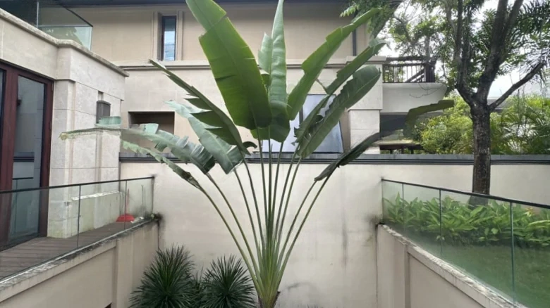 Renaissance Haitang Bay - View 13