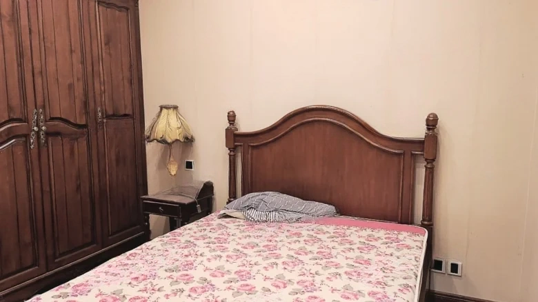 Lushan International Laperville - View 8