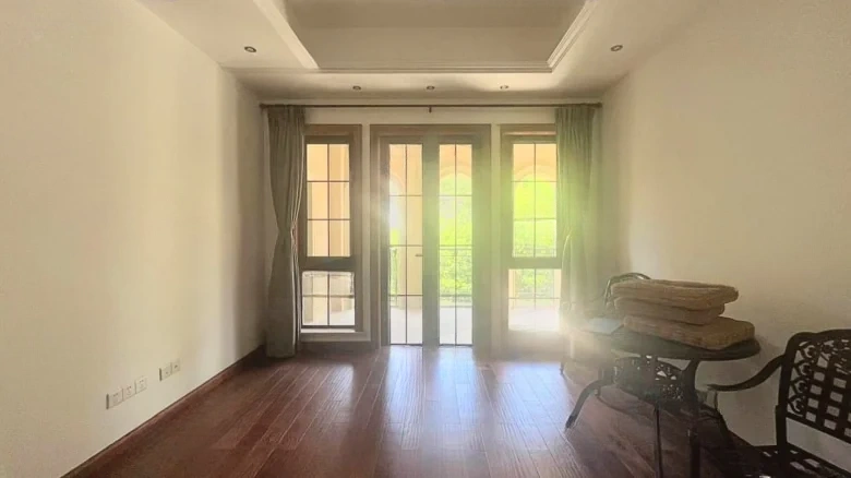 Dream Stream Lake Manor - View 20