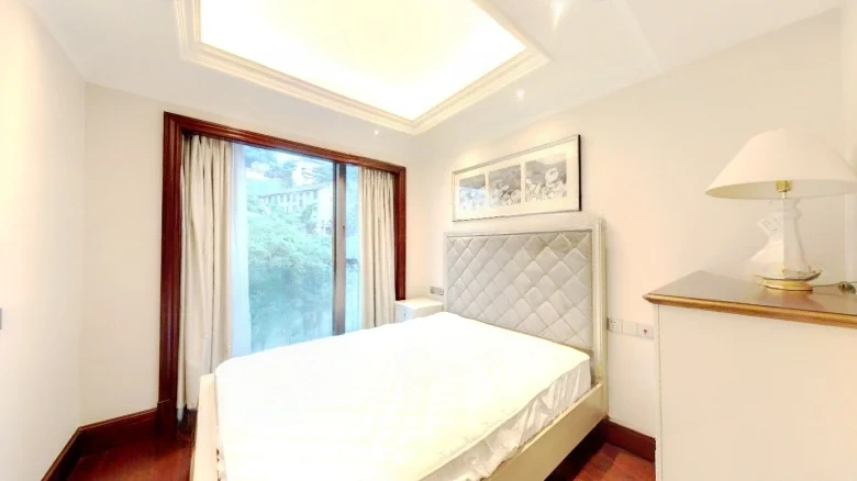 Dongyuan 1891 Impression Changjiang - View 4