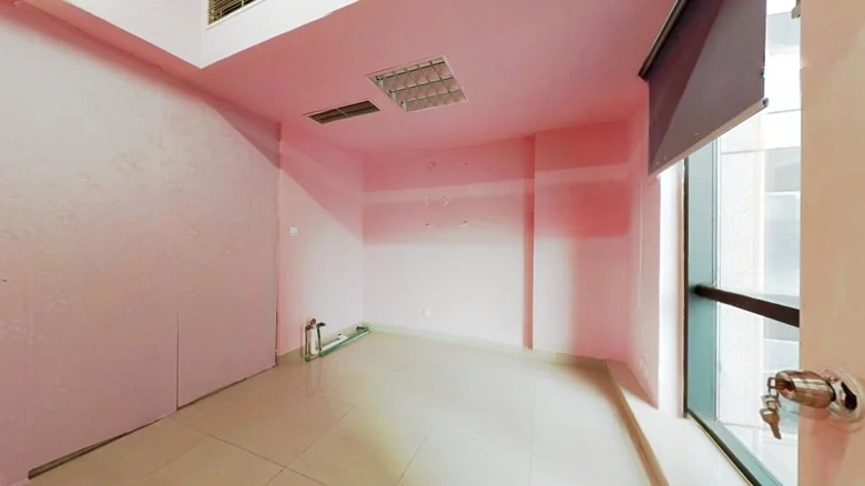 Lujia Tower - View 1