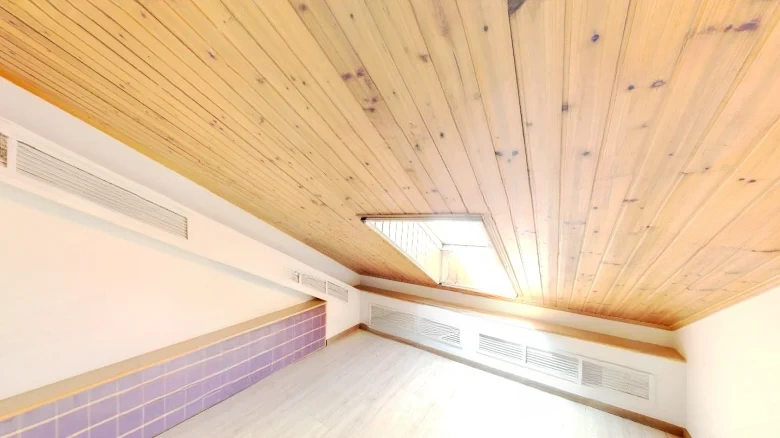 Yongle Garden - View 4