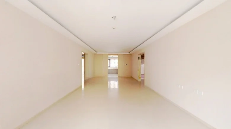 Eddie Great Earth (Used) - View 4